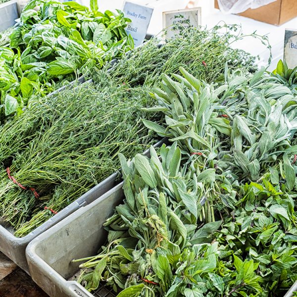 Herbs