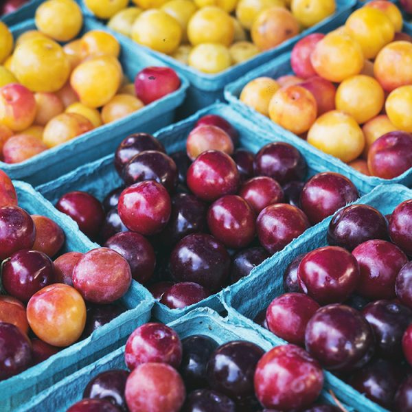 Grand Army Plaza Greenmarket