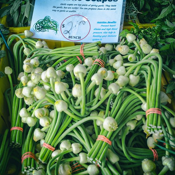 Garlic scapes