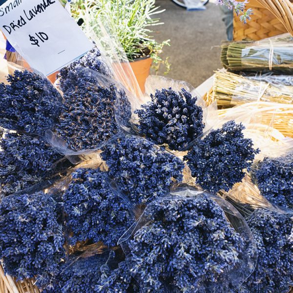 Lavender from Lavander by the Sea